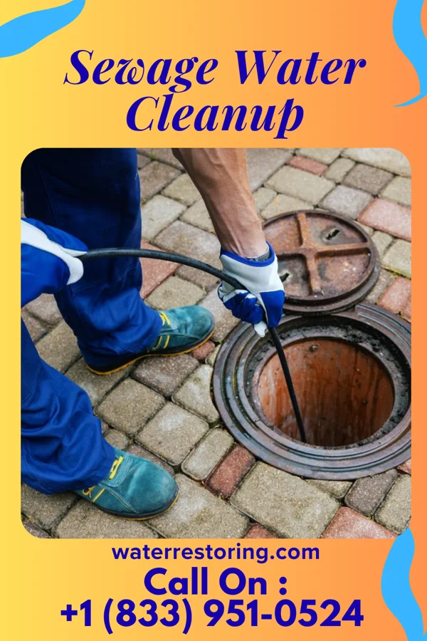 Sewage Water Cleanup in Dodge, OK